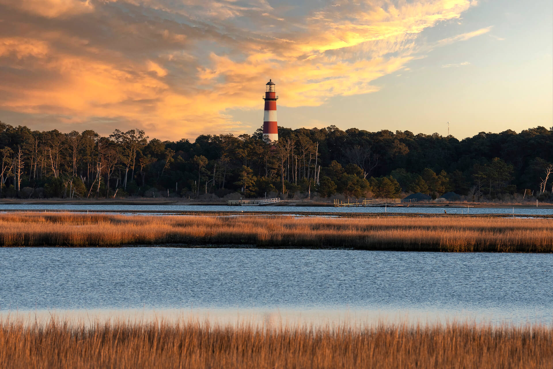 Chincoteague Island 10