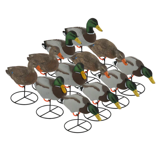 full bodu mallard 12 pack_0b841c7d 64ce 41bd 885e 00ece724a4df